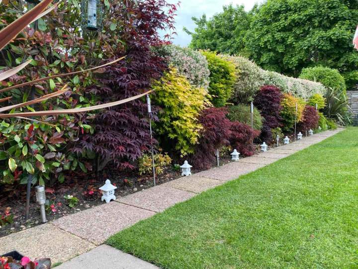 Plantation de végétaux Villefranche-de-Rouergue